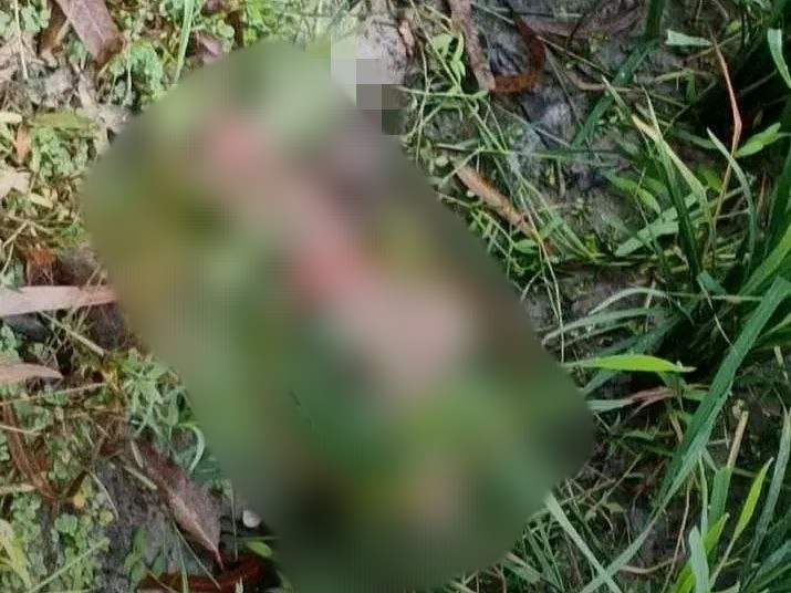নাগেশ্বরীতে রাস্তার পাশে মানুষের কা’টা পা, এলাকায় চাঞ্চল্য