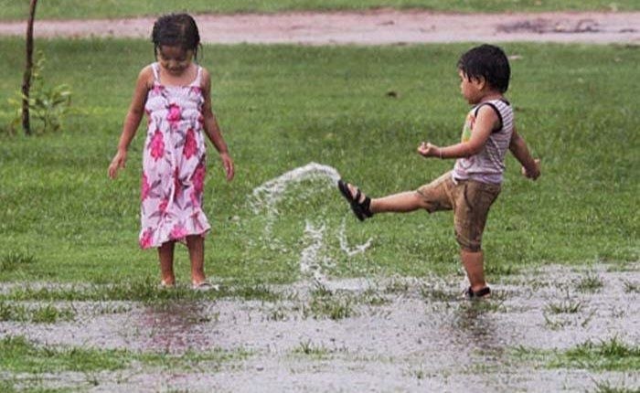 কংক্রিটের চাদরে মোড়া বর্ষা ও শেকড়ের টান