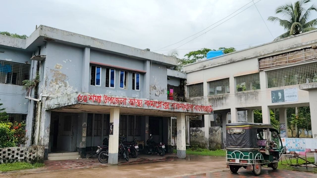নারিকেল গাছ থেকে পড়ে শরণখোলায় ১৪ বছরের শিশুর মৃ*ত্যু